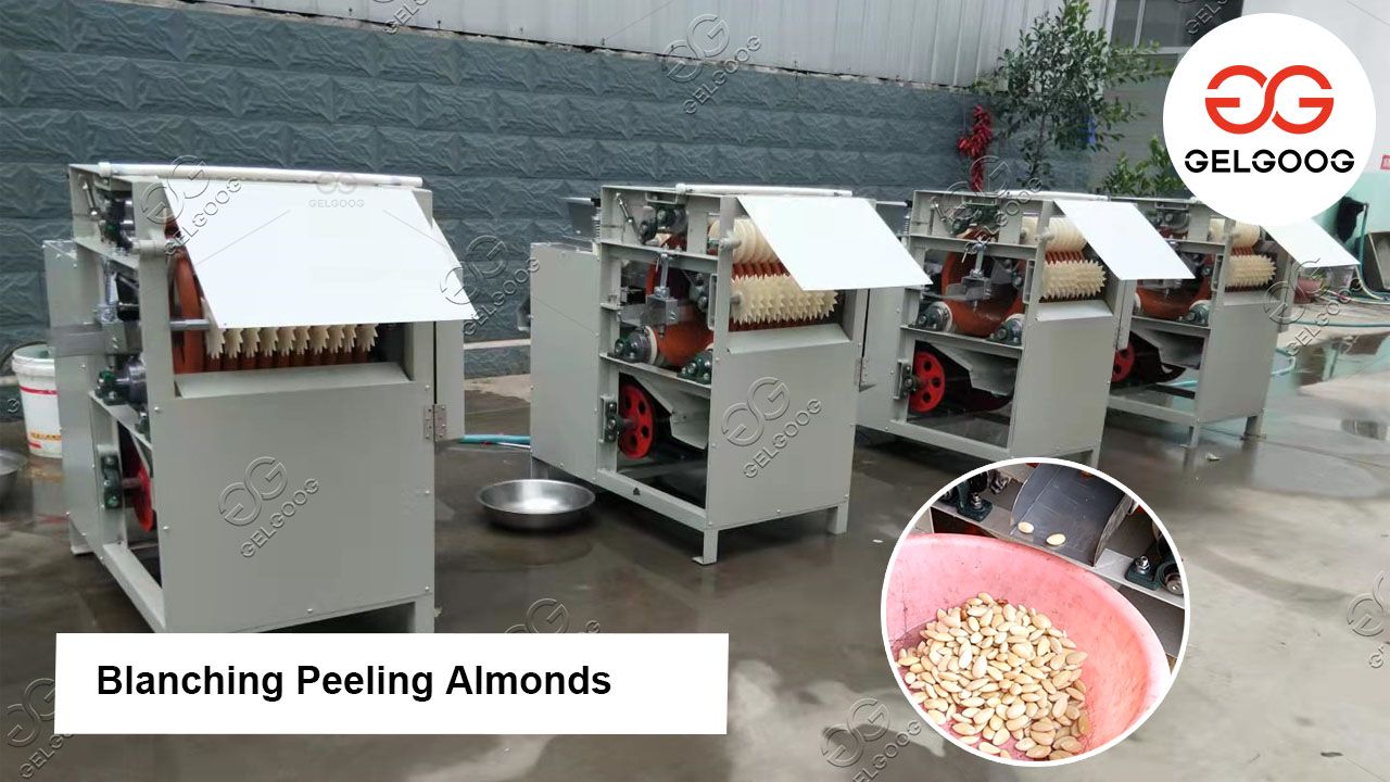 Wet Almond Blanching Machine
